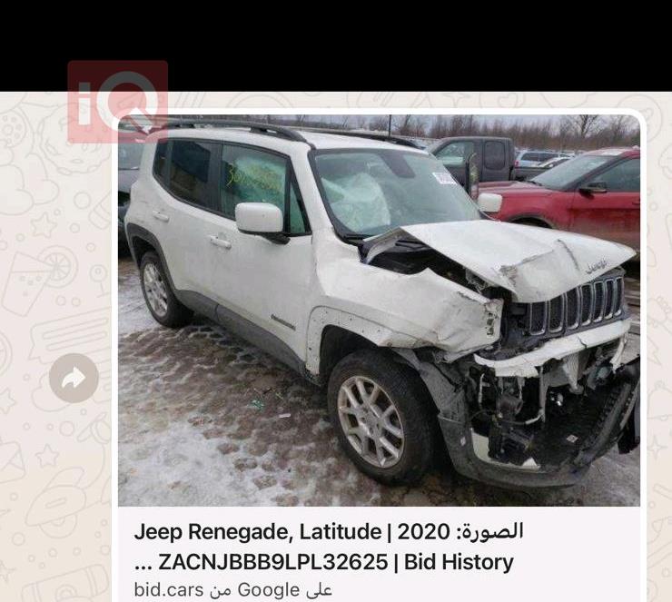 جيب رينيجيد